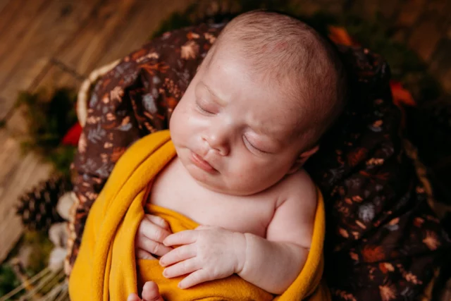 C'est toujours un bonheur de pouvoir immortaliser les premiers jours de vos bébés <3

📷Je suis Kévin Nicouleaud, Photographe de mariage depuis 2012, et spécialiste de la naissance, et la famille depuis 2021.

🏠 HomeStudio situé à Nueil-Sur-Layon, Pays De La Loire, France en Maine-et-Loire
- 15 min de Vihiers et Doué la fontaine,
- 20 min de Saumur et Cholet
- 30 min d'Angers et Bressuire

Information & réservation 
www.kevinnicouleaud.fr

#photographe #photographesaumur #photographecholet #photographebebe #photographenouveaune #photographebébé #babyphotography #babyphotographer #maineetloire #lyshautlayon #photo