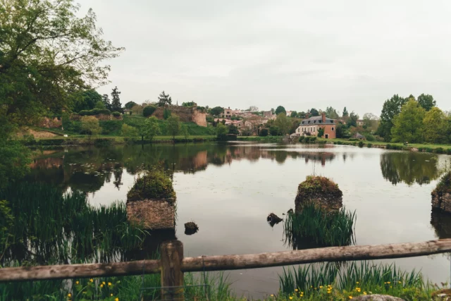 📸 Une séance en famille en escapade à Passavant-sur-layon, ça vous tente ? 
💡 Profitez de commander votre séance dès maintenant avant l'augmentation des tarifs prévue le 01/07/2025

https://www.kevinnicouleaud.fr/prestations/seance-photo-famille/

🌲🌳🌲🌳🌲🌳🌲🌳🌲🌳🌲🌳

📷Je suis Kévin Nicouleaud, Photographe de mariage depuis 2012, et spécialiste de la naissance, et la famille depuis 2021.

🏠 HomeStudio situé à Nueil-Sur-Layon, Pays De La Loire, France en Maine-et-Loire
- 15 min de Vihiers et Doué la fontaine,
- 20 min de Saumur et Cholet
- 30 min d'Angers et Bressuire

Information & réservation 
www.kevinnicouleaud.fr

#photographe #photographesaumur #photographecholet #photographebebe #photographenouveaune #photographebébé #babyphotography #babyphotographer #maineetloire #lyshautlayon #photo

#photographe #photographesaumur #photographecholet #photographemariage #weeding  #maineetloire #lyshautlayon #mariage2024 #jeunemarié #mariee #justmaried